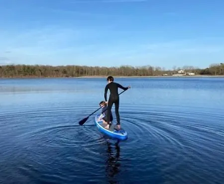 56 *